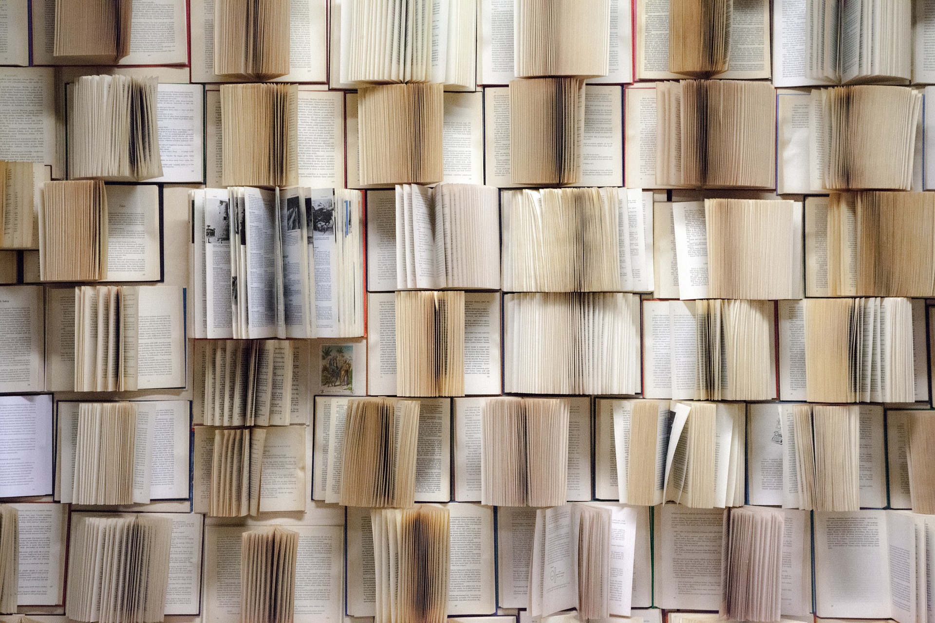 Autore di libri - Gianfranco Tamagnini Autore di libri - Gianfranco Tamagnini