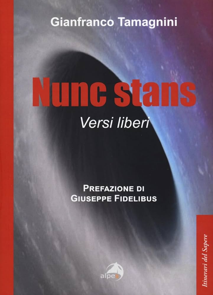 NUNC__STANS_Immagine_libro_per_sito Gianfranco Tamagnini Autore e Docente - Nursing in area psichiatrica. Il paziente schizofrenico (2015)